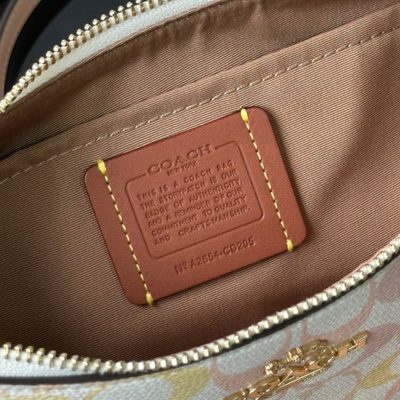 Coach Bag — 9