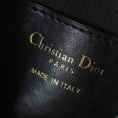 Dior Bag — 9