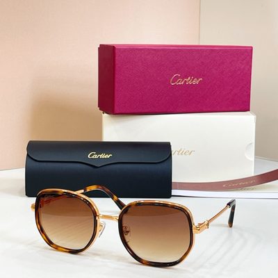 Cartier Sunglasses — 4