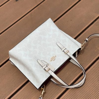 Coach Bag — 3