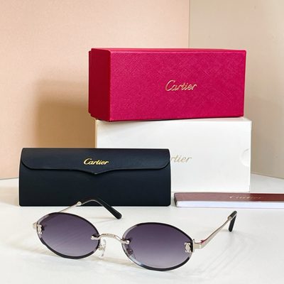 Cartier Sunglasses — 8