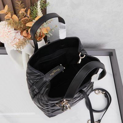 Dior Bag — 10