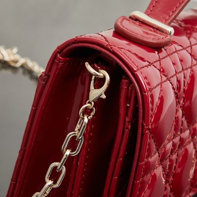 Dior Bag — 6