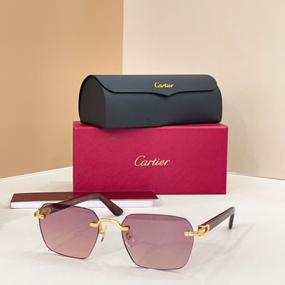 Cartier Sunglasses — 4