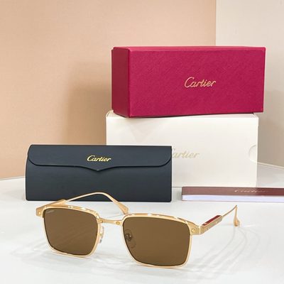 Cartier Sunglasses — 4