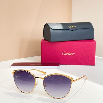 Cartier Sunglasses — 4
