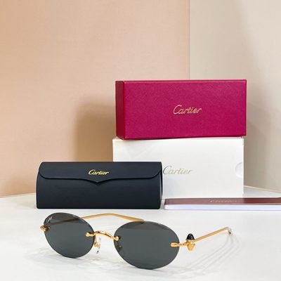 Cartier Sunglasses — 5