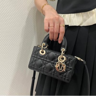 Dior Bag — 7