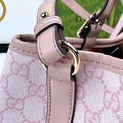 Gucci Bag — 6