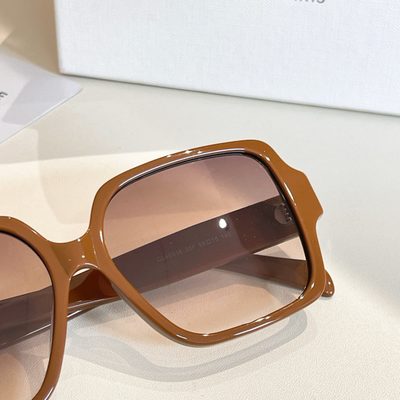 Celine Sunglasses — 4