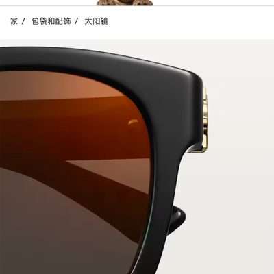 Cartier Sunglasses — 9