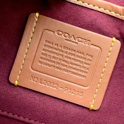 Coach Bag — 17