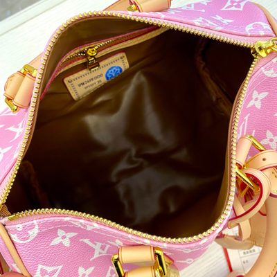 Louis Vuitton Bag — 9