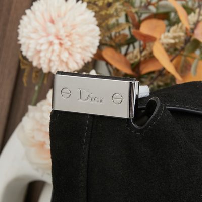Dior Bag — 6
