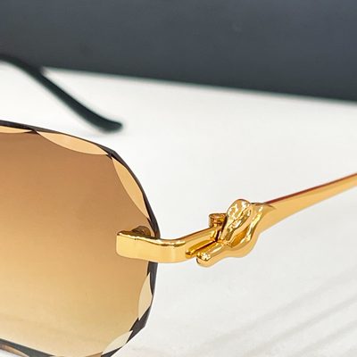Cartier Sunglasses — 9