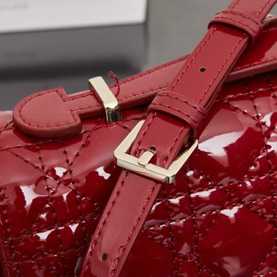 Dior Bag — 7