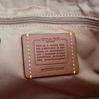 Coach Bag — 4