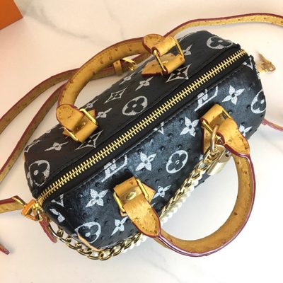 Louis Vuitton Bag — 7