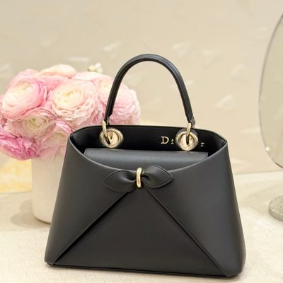 Dior Bag — 7