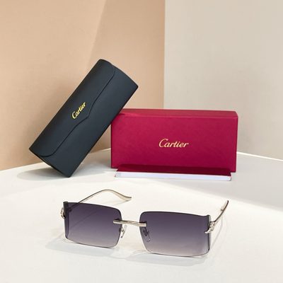 Cartier Sunglasses — 3