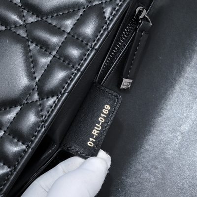 Dior Bag — 9