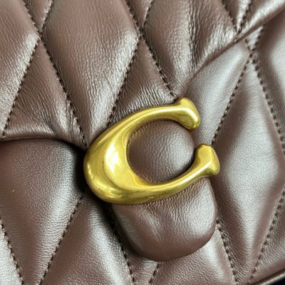 Coach Bag — 7