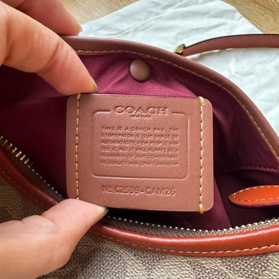 Coach Bag — 8