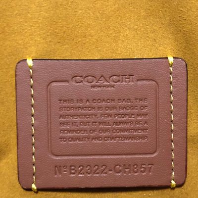 Coach Bag — 7