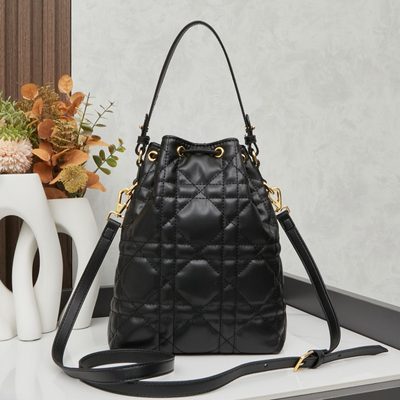 Dior Bag — 4