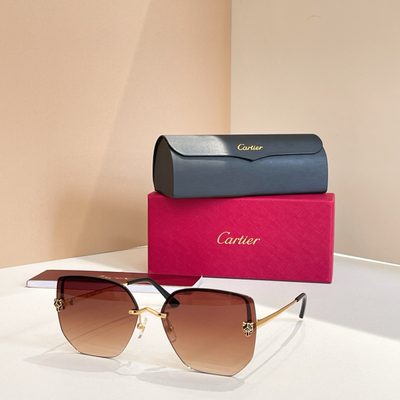 Cartier Sunglasses — 4