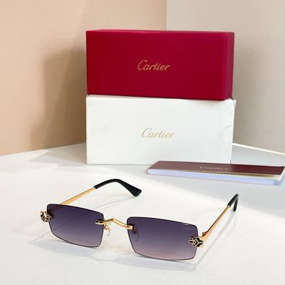 Cartier Sunglasses — 3