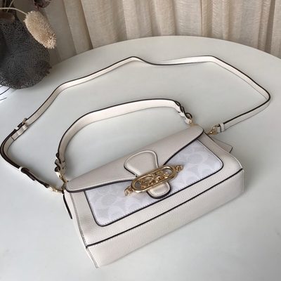 Coach Bag — 22