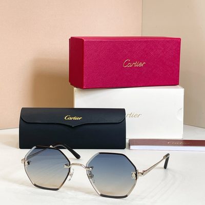 Cartier Sunglasses — 4