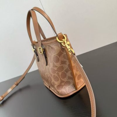 Coach Bag — 3