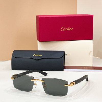 Cartier Sunglasses — 4