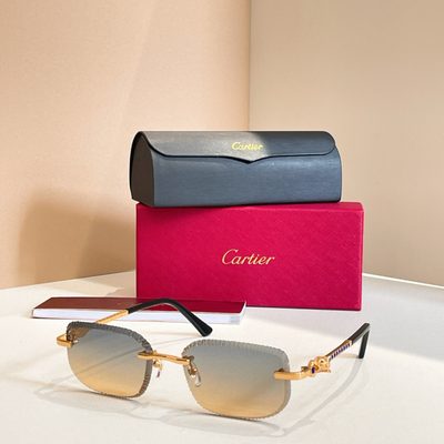 Cartier Sunglasses — 6