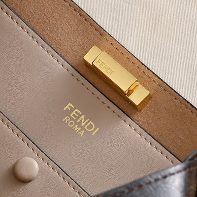 Fendi Bag — 9