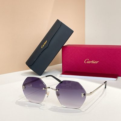 Cartier Sunglasses — 4