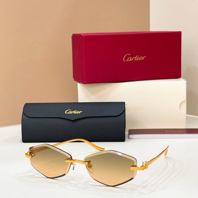 Cartier Sunglasses — 4