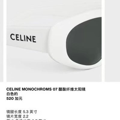 Celine Sunglasses — 6