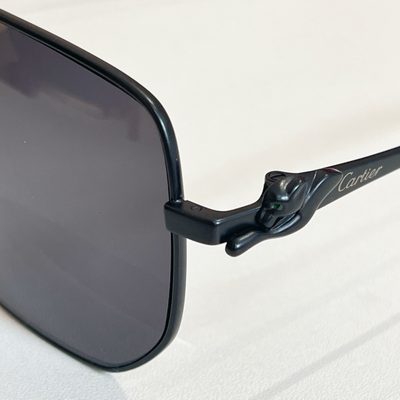 Cartier Sunglasses — 3