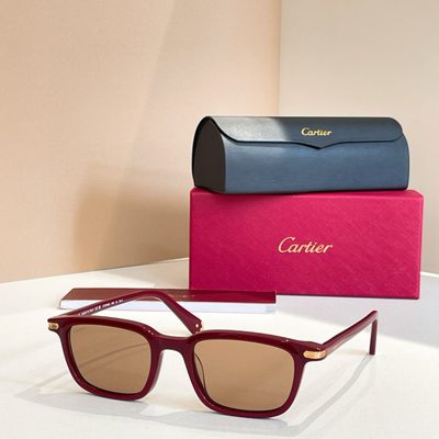 Cartier Sunglasses — 6