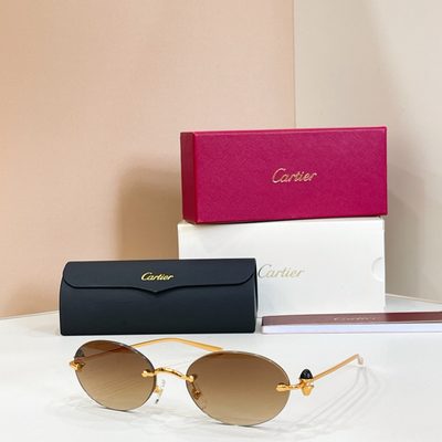 Cartier Sunglasses — 6