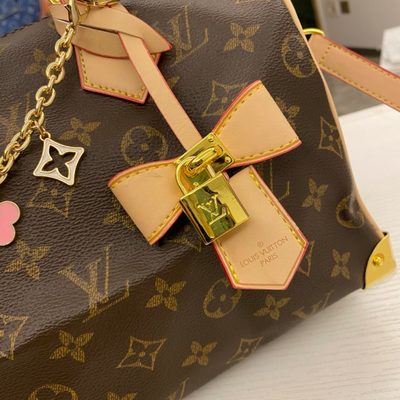Louis Vuitton Bag — 7