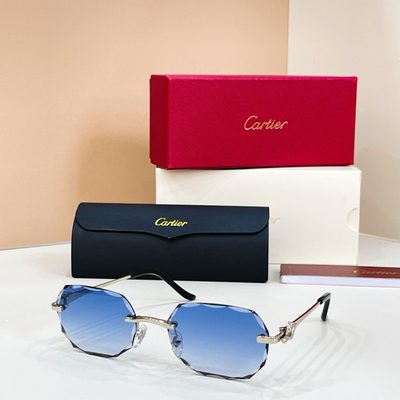 Cartier Sunglasses — 5