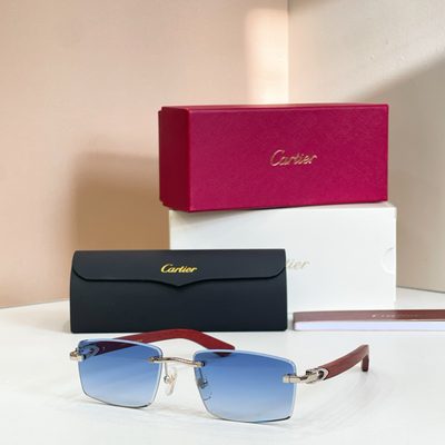 Cartier Sunglasses — 3