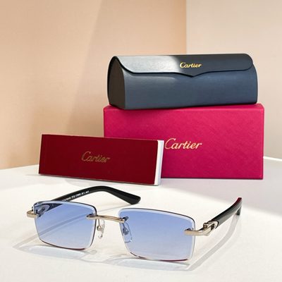 Cartier Sunglasses — 3