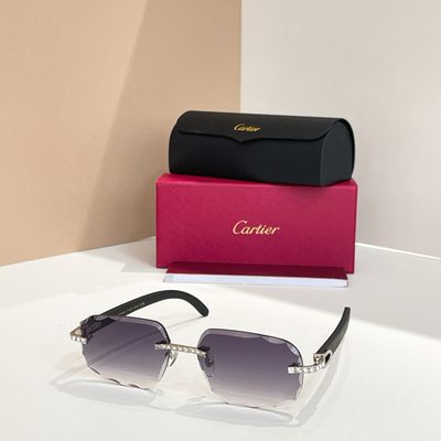 Cartier Sunglasses — 3
