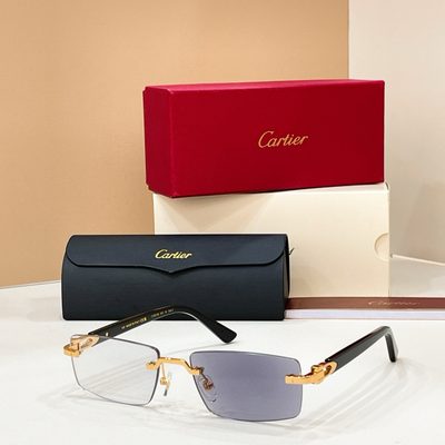 Cartier Sunglasses — 7
