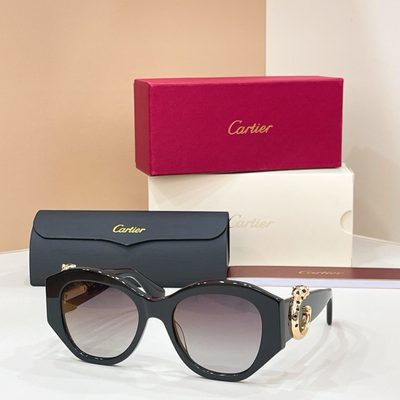 Cartier Sunglasses — 4